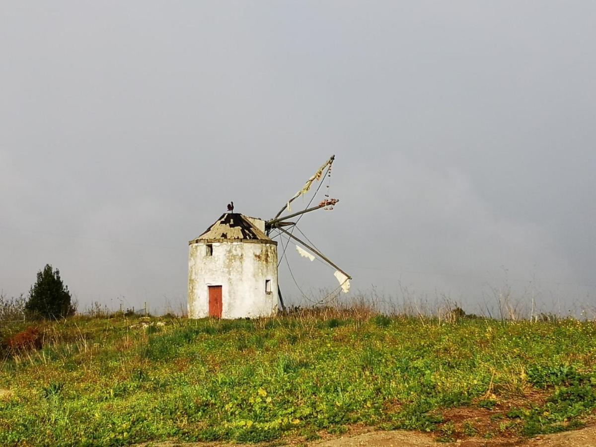 Feather House São Bartolomeu Kültér fotó